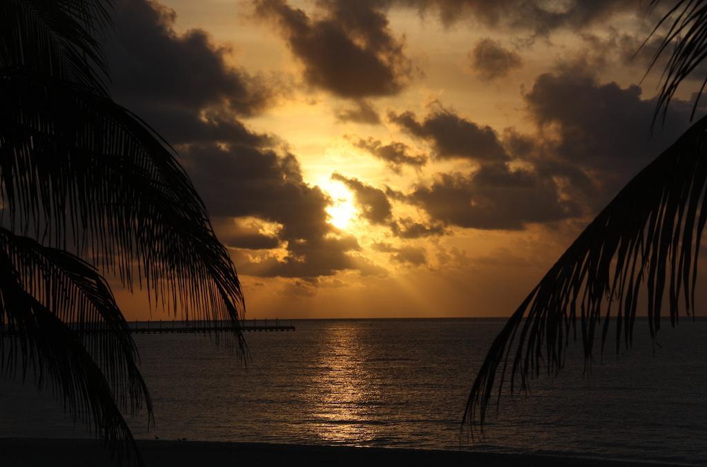 Skyline Suite Playa del Carmen Phòng bức ảnh
